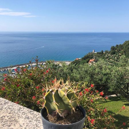 Villa Degli Ulivi B&B フィナーレ・リーグレ エクステリア 写真