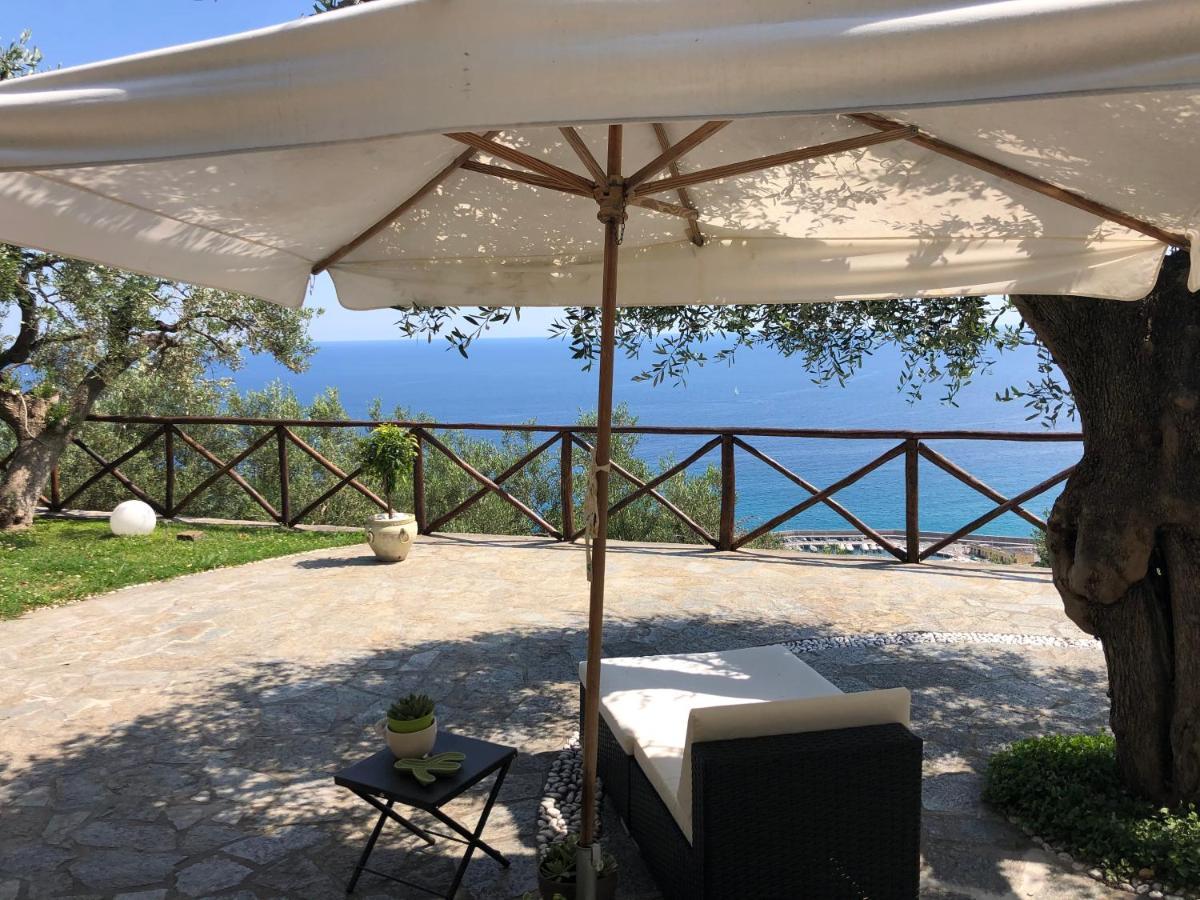 Villa Degli Ulivi B&B フィナーレ・リーグレ エクステリア 写真